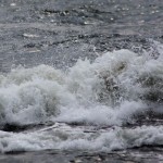 Havet
